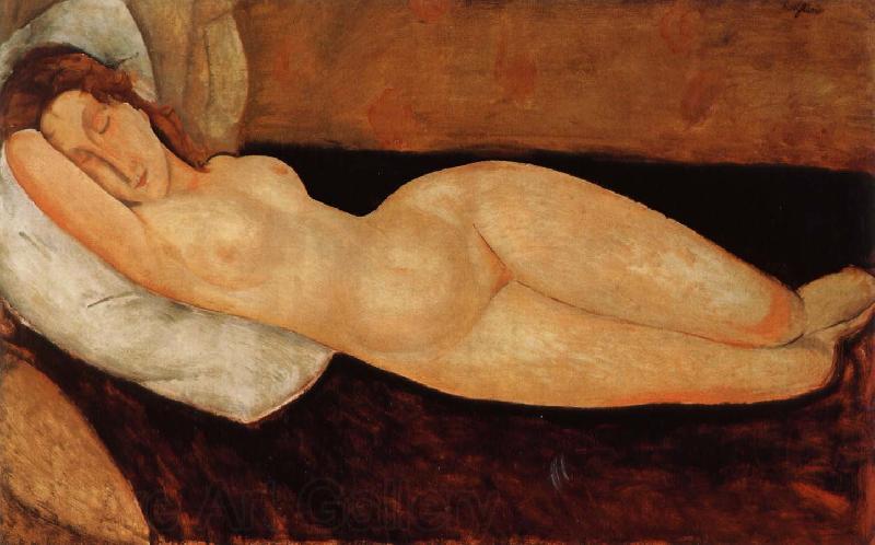 Amedeo Modigliani Nude Norge oil painting art